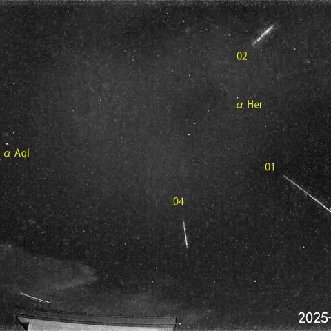 夜半後の流星 (25-06-07)