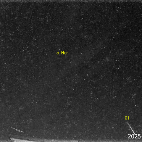 夜半前の流星  (25-06-23)