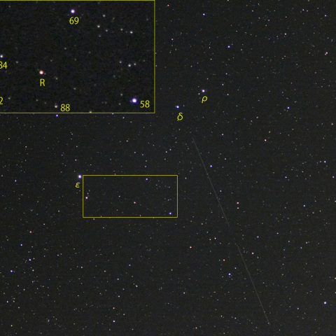 うしかい座R (25-06-28)