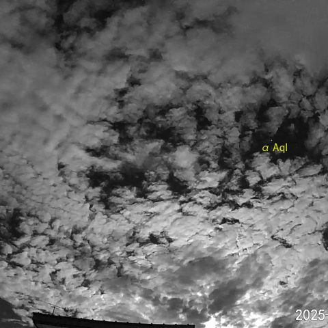 夜半前の流星 (25-08-08)