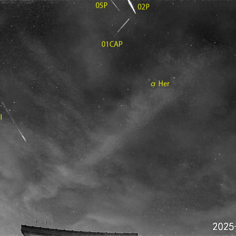夜半前の流星-1 (25-08-11)