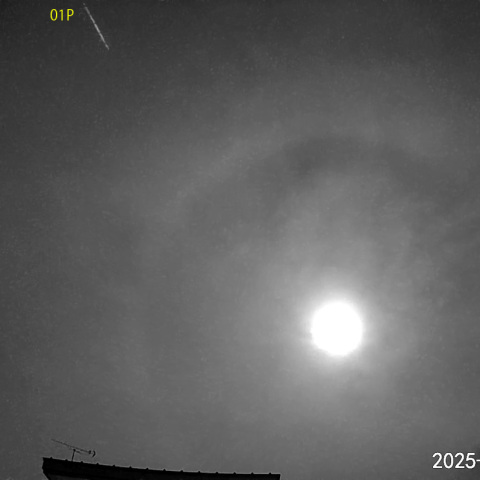 夜半後の流星 (25-08-12)