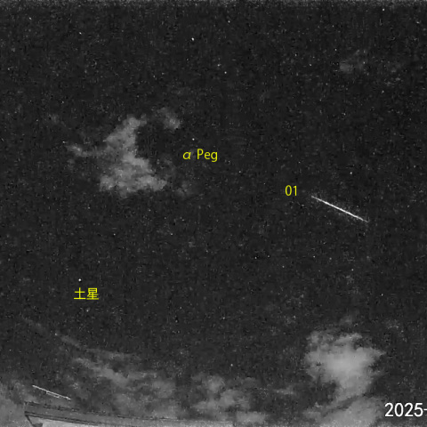 124555: 夜空は宝石箱(ペガスス座 NGC7331 ＆ステファンの五つ子