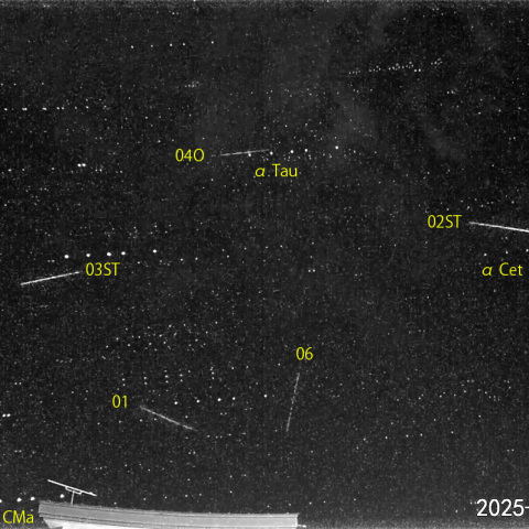 夜半後の流星-1 (25-10-29)