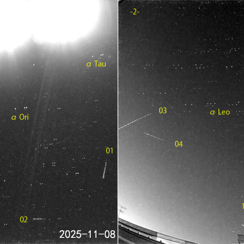 夜半後の流星 (25-11-08)