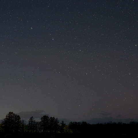 低緯度オーロラ-1 (25-11-12)
