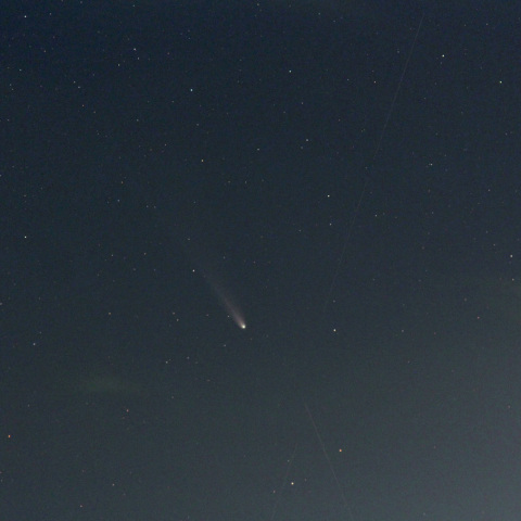 レモン彗星 (25-11-12)