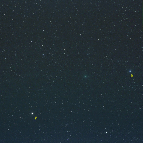 スワン彗星 (25-11-12)