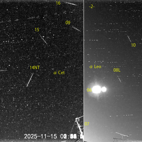 夜半後の流星 (25-11-15)