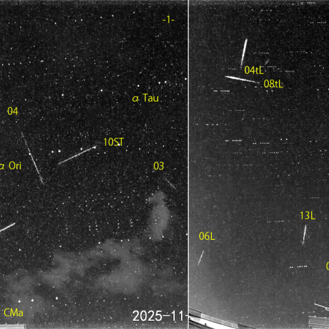 夜半後の流星 (25-11-17)