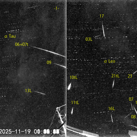 夜半後の流星 (25-11-19)