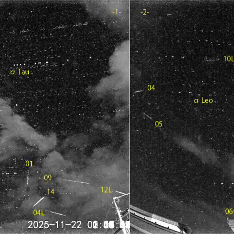 夜半後の流星 (25-11-22)