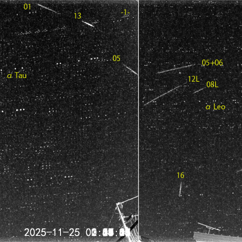 夜半後の流星 (25-11-25)