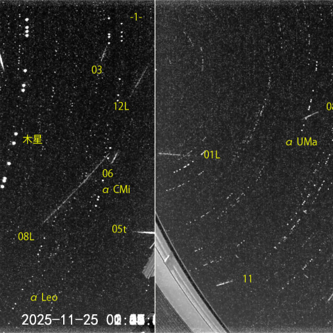 夜半後の流星E (25-11-25)