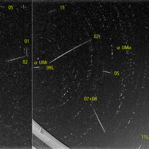 夜半後の流星E (25-11-29)