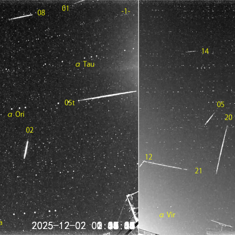 夜半後の流星 (25-12-02)