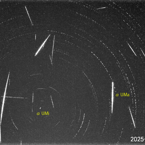  夜半後の流星N-1 (25-12-14)