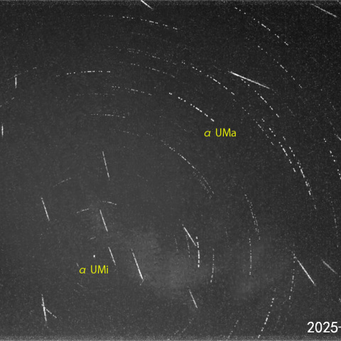  夜半後の流星N-2 (25-12-14)