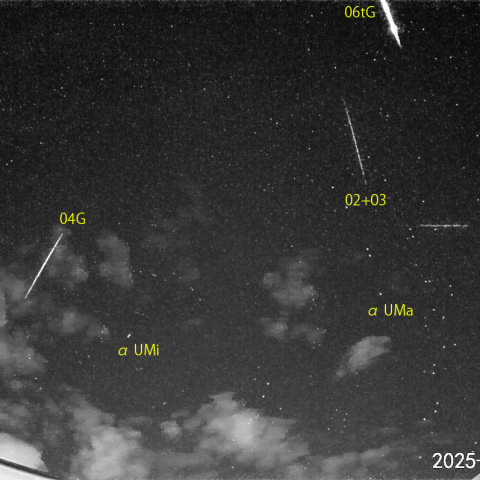  夜半後の流星N (25-12-16)