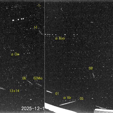  夜半後の流星 (25-12-18)