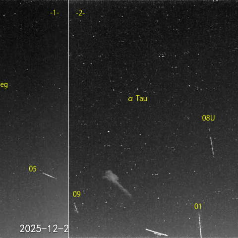  夜半前の流星 (25-12-22)