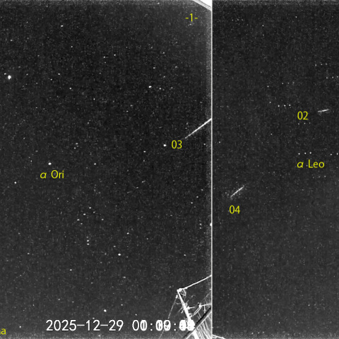 夜半後の流星 (25-12-29)