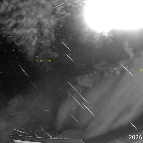  夜半後の流星-1 (26-01-04)