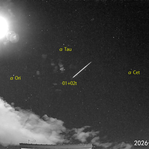  夜半前の流星 (26-01-31)