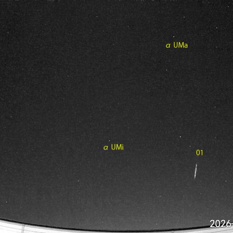  夜半前の流星N (26-02-01)