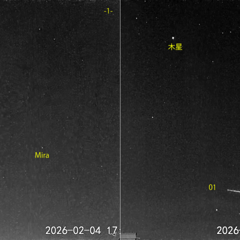  夜半前の流星 (26-02-04)