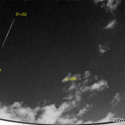  夜半前の流星N (26-02-04)