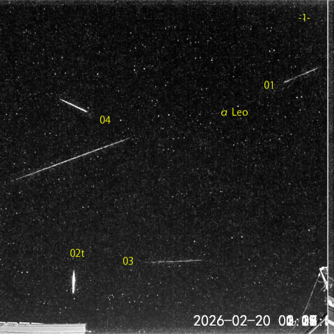  夜半後の流星S (26-02-20)