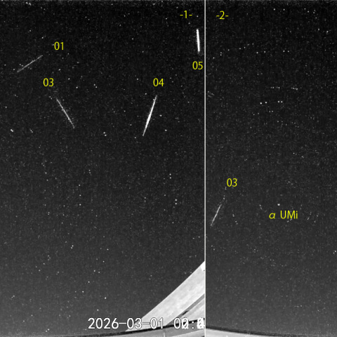 夜半後の流星N (26-03-01)
