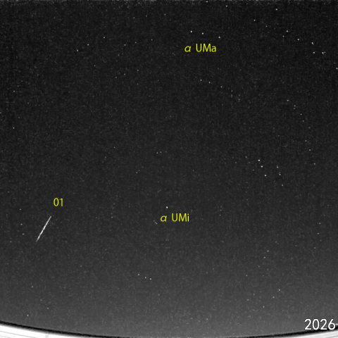 夜半前の流星N (26-03-02)