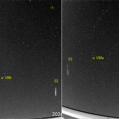 夜半前の流星N (26-03-03)