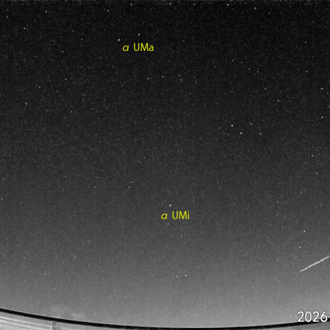 夜半前の流星N (26-03-19)