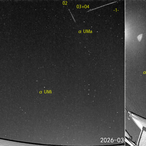 夜半前の流星N (26-03-25)