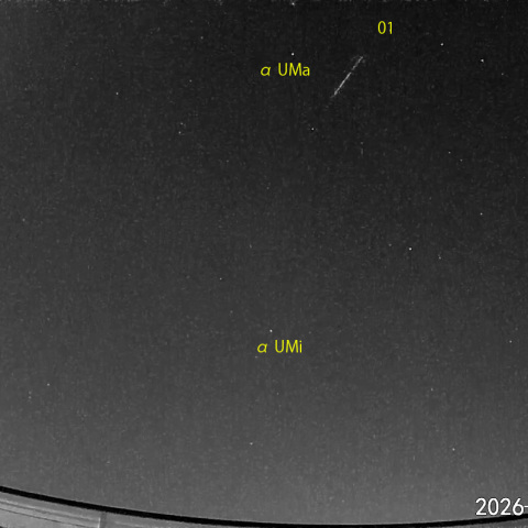 夜半前の流星N (26-03-29)