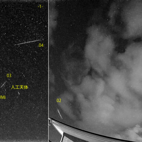夜半後の流星N (26-06-10)