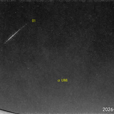 夜半前の流星N (26-08-20)