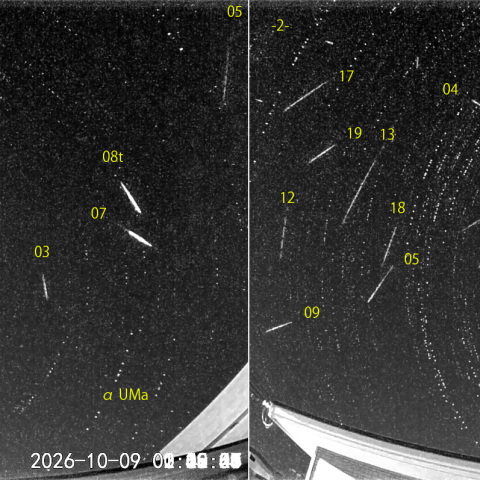 夜半後の流星N (26-10-09)