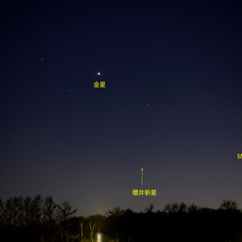 いて座新星2016-3