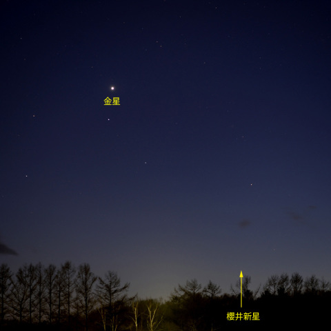 いて座新星2016-3