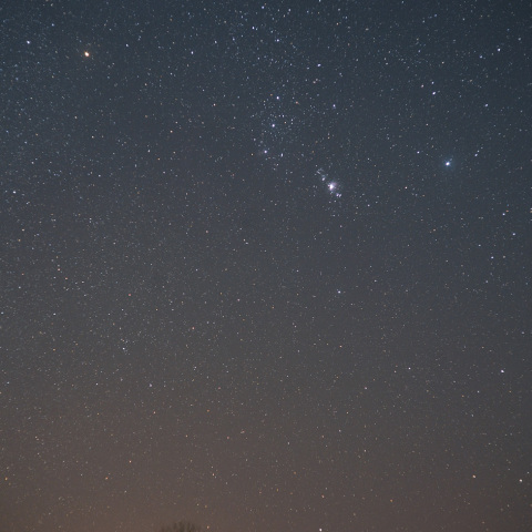 昇るオリオンとシリウス