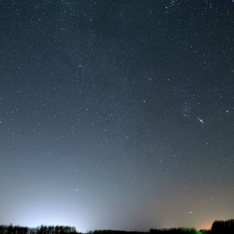 昇る冬の星座たち