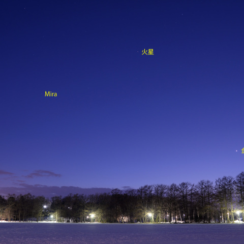 夕空の惑星と変光星ミラ