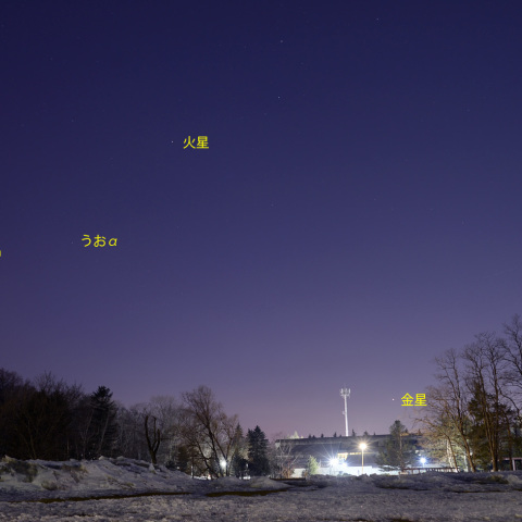 夕空の惑星と変光星ミラ