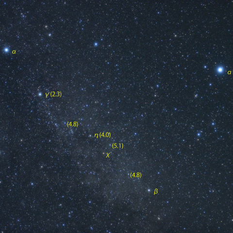 はくちょう座の変光星 χCyg