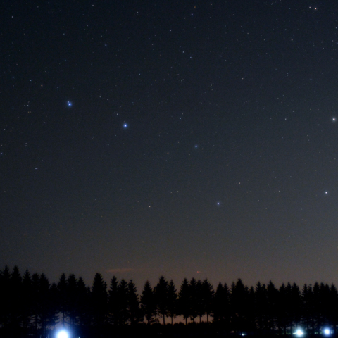防風林と北斗七星
