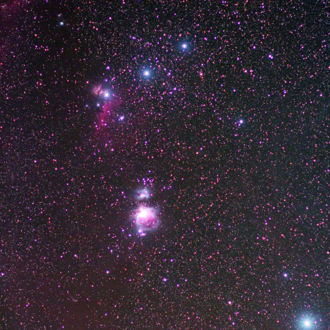 オリオン座の下半身